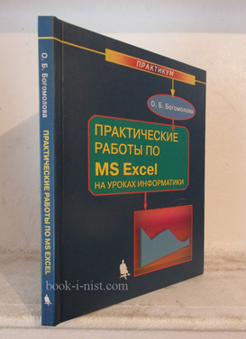 Фото: Богомолова О.Б. Практические работы по MS Excel на уроках информатики